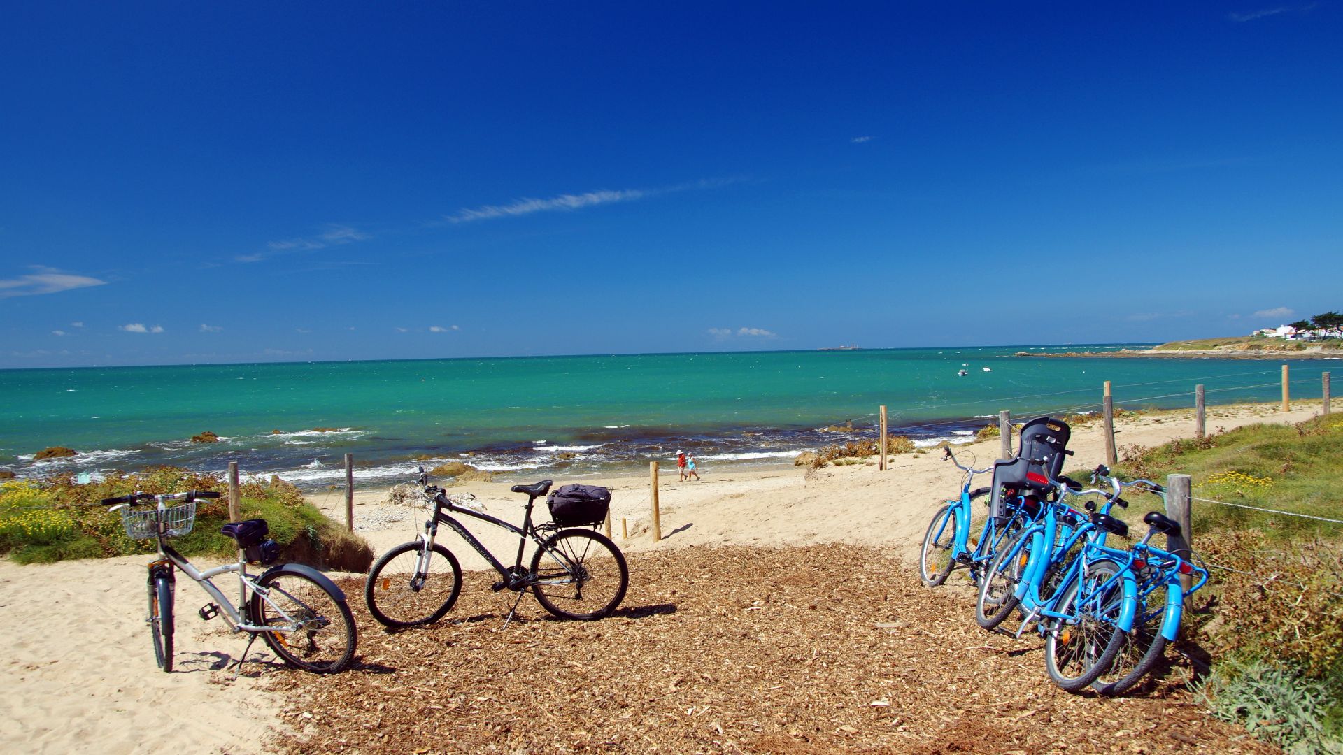 velodyssée vendée